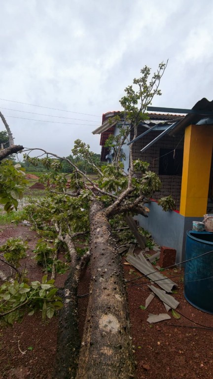 #kokansadlive#news update#konkan update#