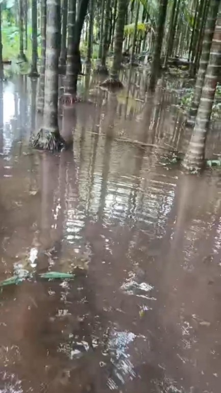 #kokansadlive#news update#konkan update#