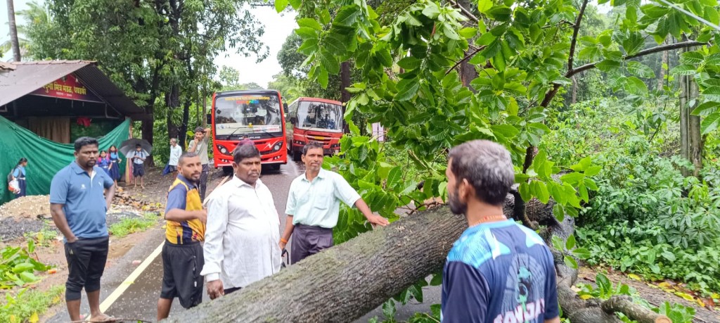 #kokansadlive#news update#konkan update#