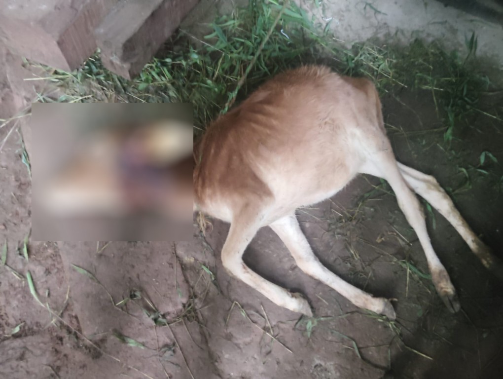 #kokansadlive#news update#konkan update# breaking news#