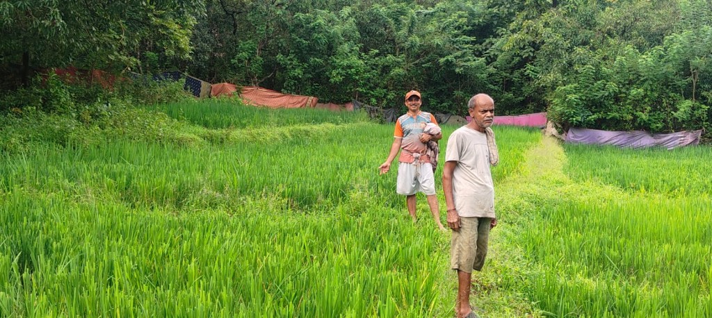 #kokansadlive#news update#konkan update#