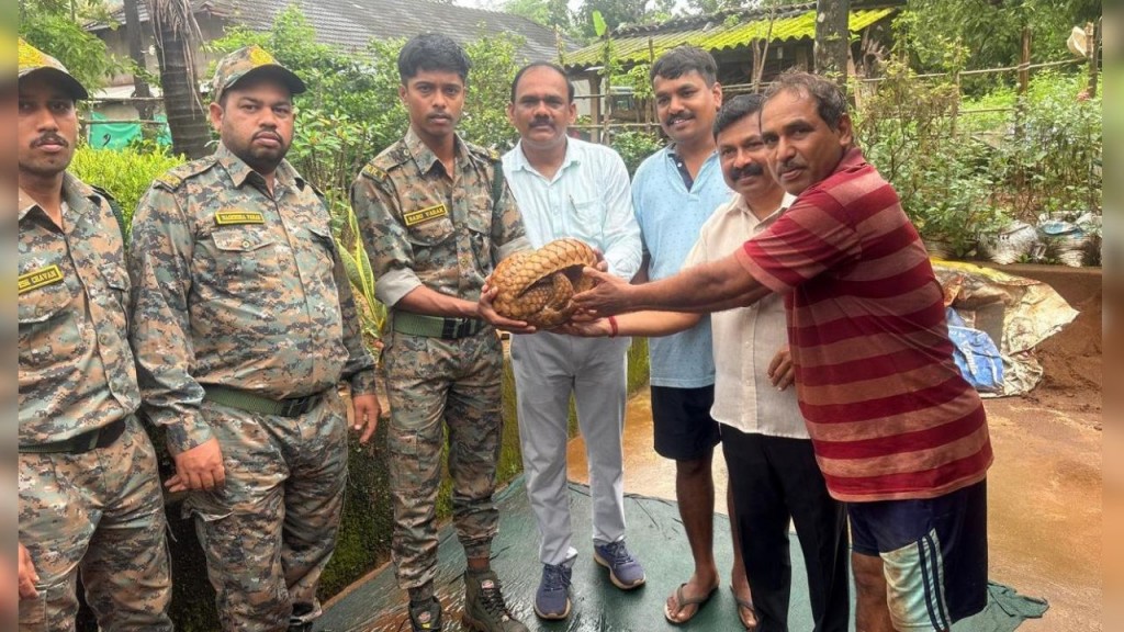 #kokansadlive#news update#konkan update#