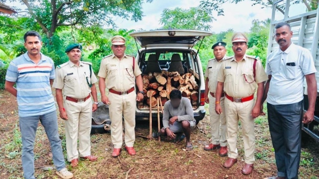 Sawantwadi youth detained in Pernem Khair wood smuggling case