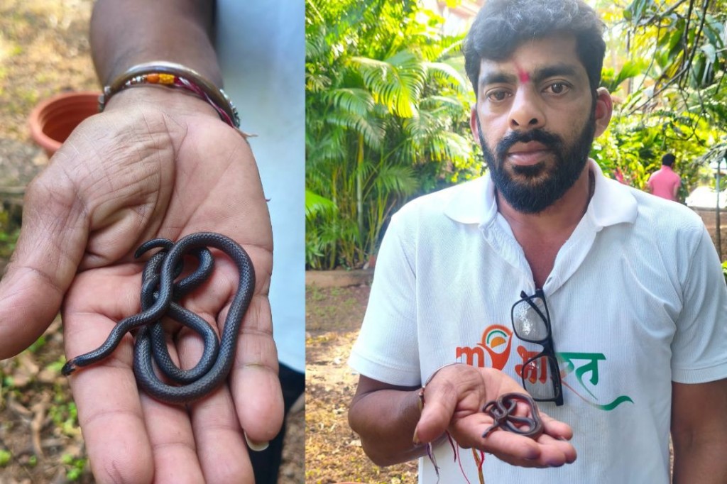 #kokansadlive#news update#konkan update#