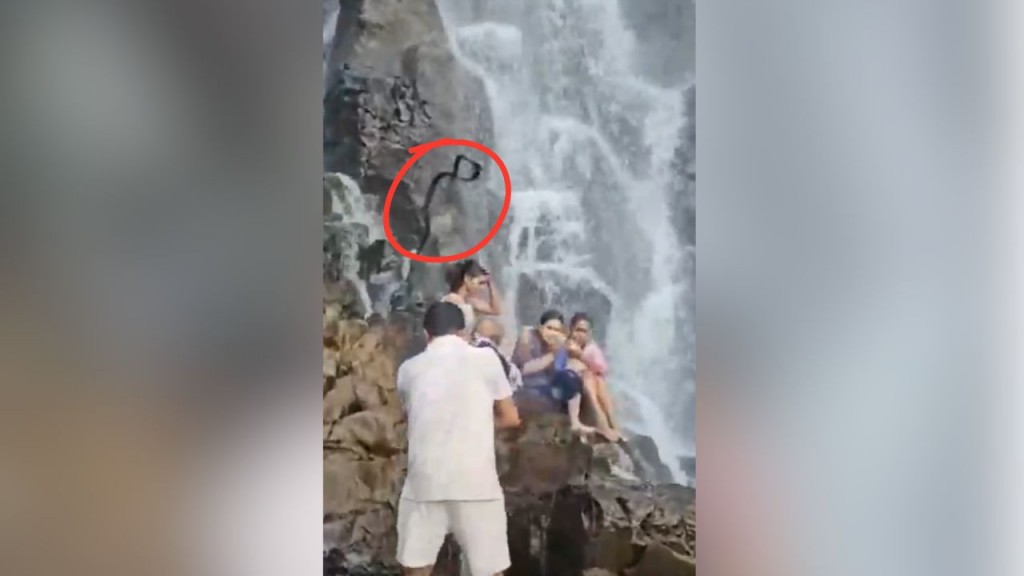 Snake suddenly falls in front of tourists at Amboli Waterfall