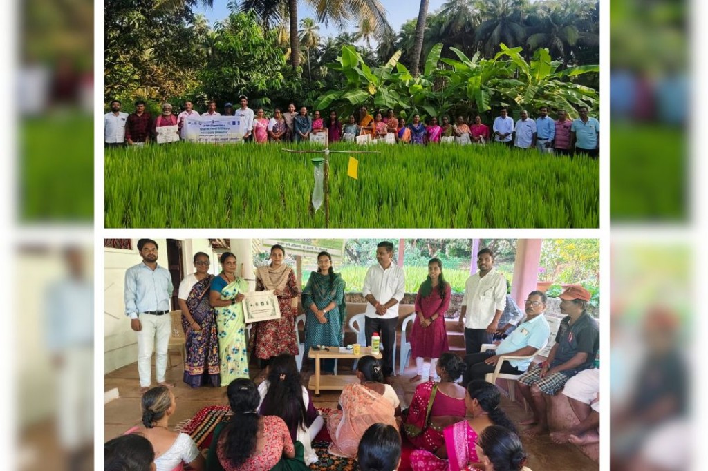 #kokansadlive#news update#konkan update#