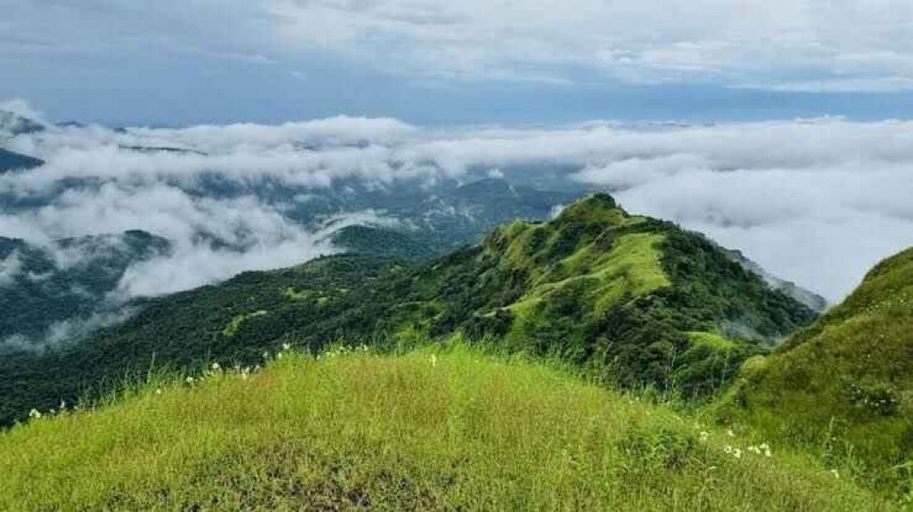 #kokansadlive#news update#konkan update# 
