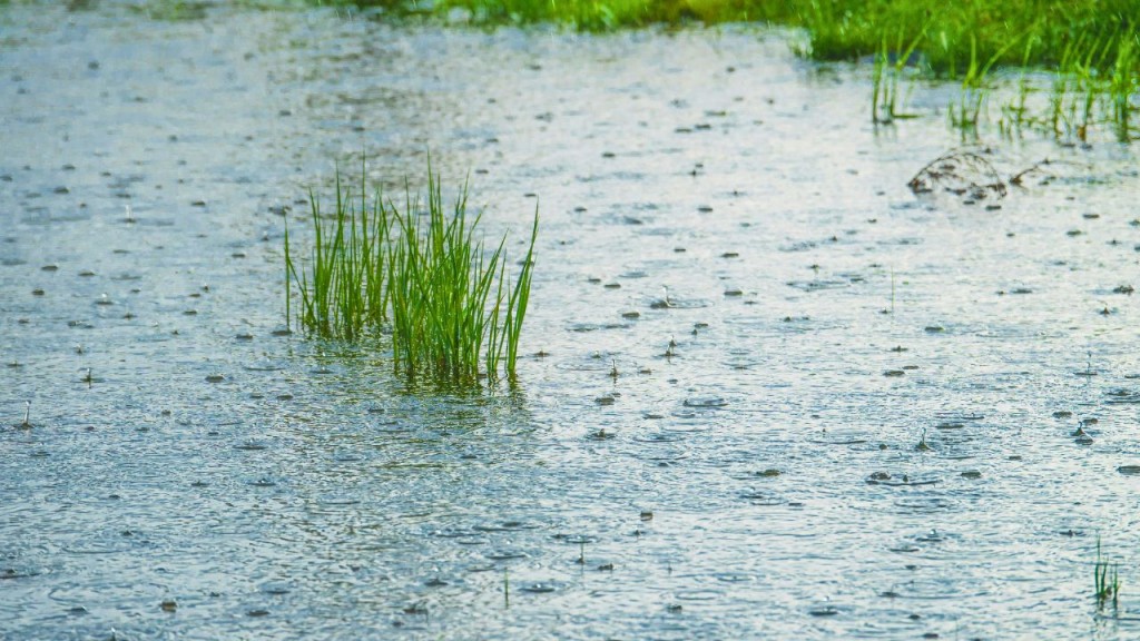 Sindhudurg rainfall