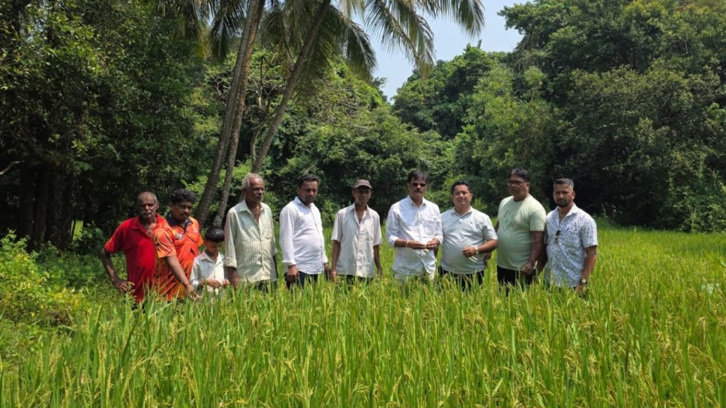 #kokansadlive#news update#konkan update#breaking news