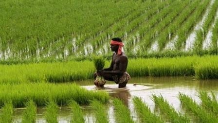 https://kokansadlive.com/uploads/article/sml_12023_pic_20240625.0542.jpg