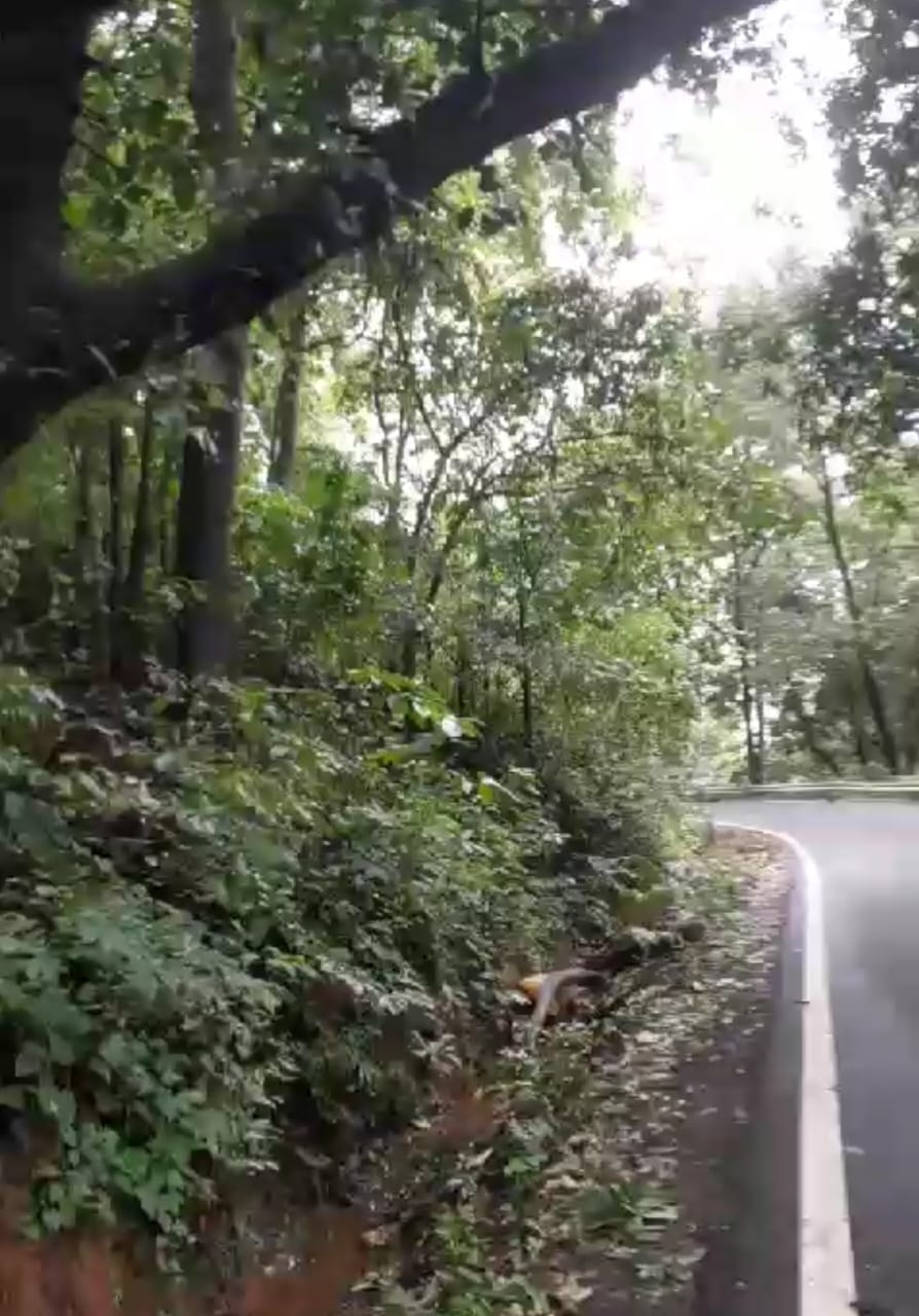 https://kokansadlive.com/uploads/article/sml_12720_pic_20240725.1147.jpg