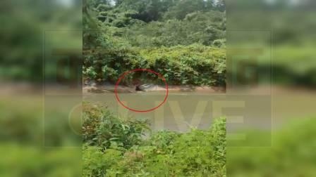 https://kokansadlive.com/uploads/article/sml_13231_pic_20240817.0631.jpg