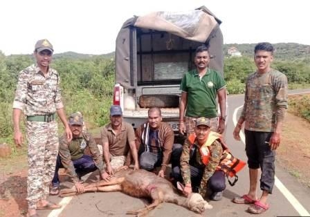 https://kokansadlive.com/uploads/article/sml_13322_pic_20240821.0735.jpg