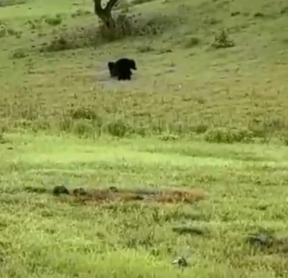 https://kokansadlive.com/uploads/article/sml_13363_pic_20240823.0628.jpg