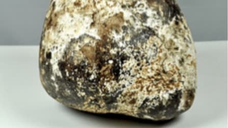 https://kokansadlive.com/uploads/article/sml_14152_pic_20241001.1430.jpg