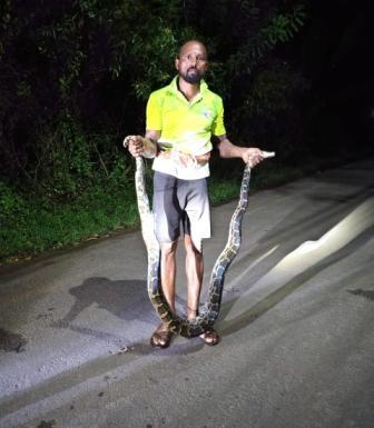 https://kokansadlive.com/uploads/article/sml_14202_pic_20241003.0646.jpg