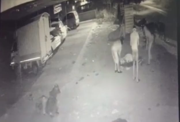 https://kokansadlive.com/uploads/article/sml_15858_pic_20241213.1617.jpg
