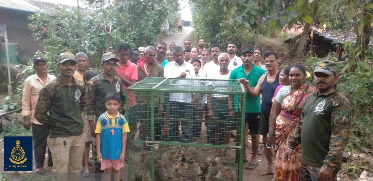 https://kokansadlive.com/uploads/article/sml_15861_pic_20241213.1739.jpg