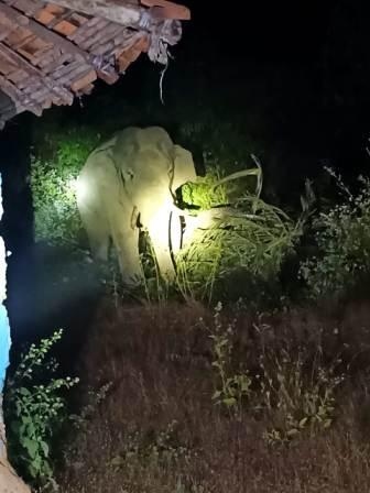 https://kokansadlive.com/uploads/article/sml_16114_pic_20241226.1257.jpg
