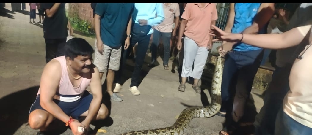 https://kokansadlive.com/uploads/article/sml_16301_pic_20250103.1259.jpg