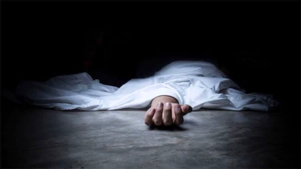https://kokansadlive.com/uploads/article/sml_17956_pic_20250320.1845.jpg