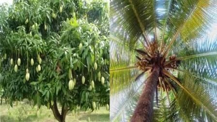 https://kokansadlive.com/uploads/article/sml_18492_pic_20250417.1053.jpg