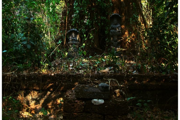 https://kokansadlive.com/uploads/article/sml_19117_pic_20250516.2002.jpg