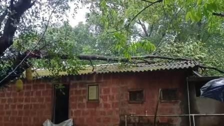 https://kokansadlive.com/uploads/article/sml_19296_pic_20250527.1307.jpg
