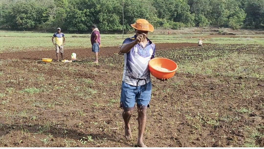 https://kokansadlive.com/uploads/article/sml_19550_pic_20250608.1841.jpg