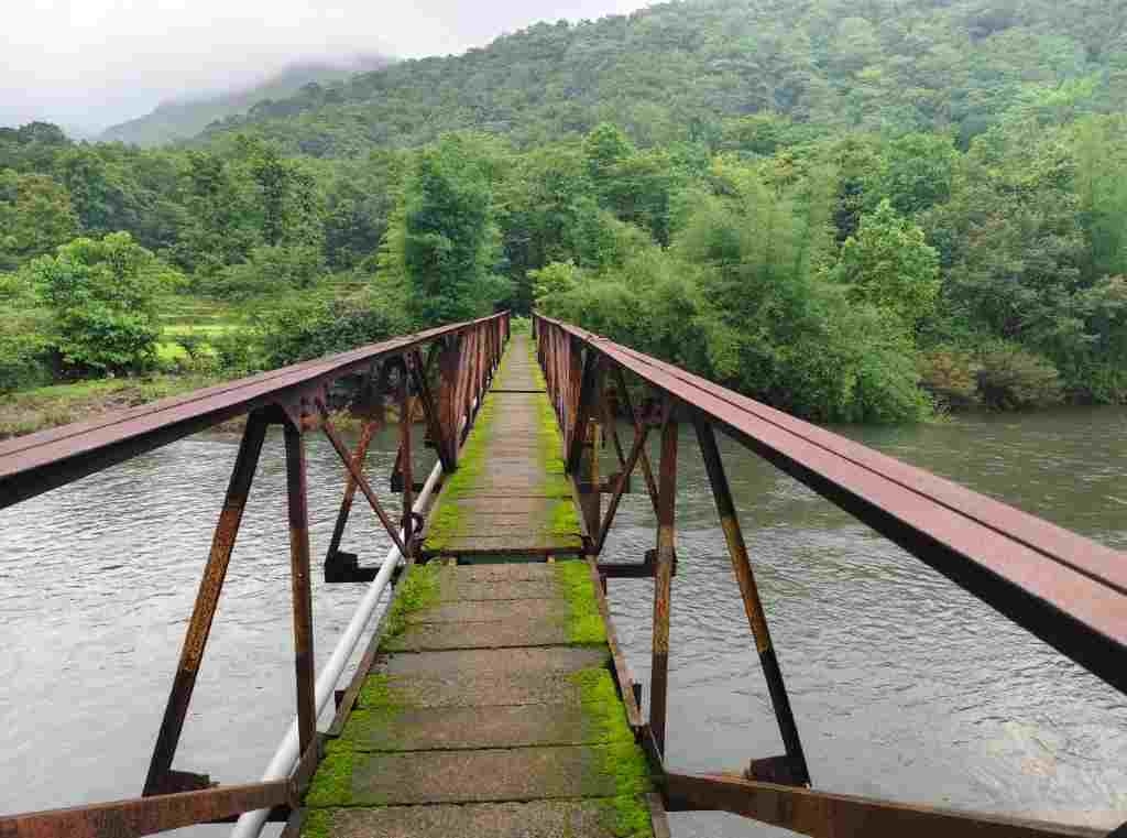 https://kokansadlive.com/uploads/article/sml_19861_pic_20250617.2157.jpg