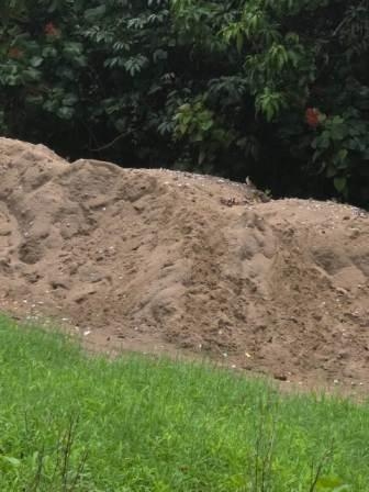 https://kokansadlive.com/uploads/article/sml_20268_pic_20250628.1305.jpg