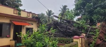 https://kokansadlive.com/uploads/article/sml_20469_pic_20250703.1821.jpg