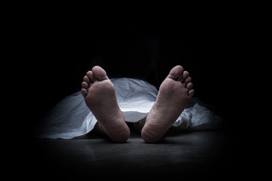https://kokansadlive.com/uploads/article/sml_20681_pic_20250709.1820.jpg
