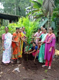 https://kokansadlive.com/uploads/article/sml_20809_pic_20250712.1817.jpg