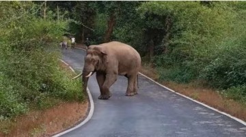 https://kokansadlive.com/uploads/article/sml_21642_pic_20250809.1534.jpg