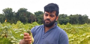 https://kokansadlive.com/uploads/article/sml_21741_pic_20250812.1316.jpg