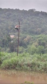 https://kokansadlive.com/uploads/article/sml_22111_pic_20250820.1816.jpg