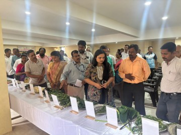 https://kokansadlive.com/uploads/article/sml_22182_pic_20250822.2036.jpg