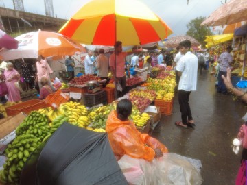 https://kokansadlive.com/uploads/article/sml_22301_pic_20250826.2049.jpeg
