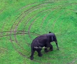 https://kokansadlive.com/uploads/article/sml_22810_pic_20250916.1323.jpg