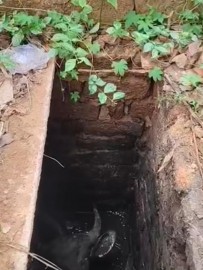https://kokansadlive.com/uploads/article/sml_29458_pic_20260514.1413.jpg