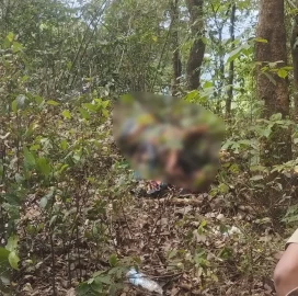 https://kokansadlive.com/uploads/article/sml_29883_pic_20260529.2126.webp