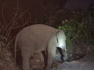 https://kokansadlive.com/uploads/article/sml_29967_pic_20260601.2155.jpg