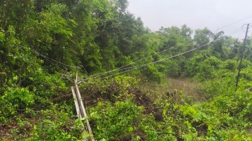 https://kokansadlive.com/uploads/article/sml_31095_pic_20260704.2142.jpg