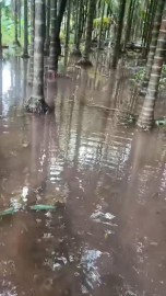 https://kokansadlive.com/uploads/article/sml_31125_pic_20260705.1823.jpeg
