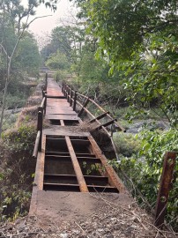 https://kokansadlive.com/uploads/article/sml_31482_pic_20260715.2026.jpg