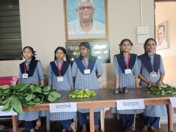 https://kokansadlive.com/uploads/article/sml_31619_pic_20260720.1911.jpg