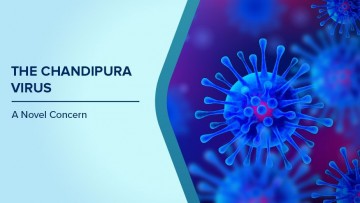 #ChandipuraVirus #GujaratHealthUpdate #HealthNews #MarathiNews #KokansadLive #BreakingNews