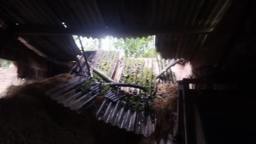 https://kokansadlive.com/uploads/article/sml_32236_pic_20260806.2054.jpeg