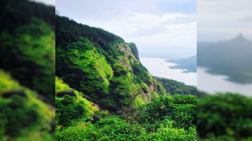 https://kokansadlive.com/uploads/article/sml_32342_pic_20260810.1525.jpg